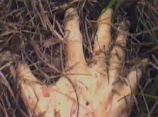 Kourosh Adim, Love Looks Back Upon Us, 1994. SVHS Video, color, sound, 3:37 min — © Courtesy of the artist