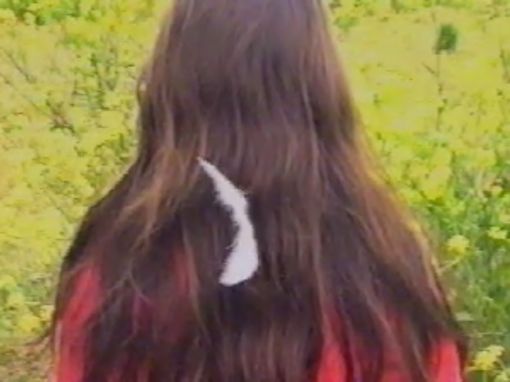 Kourosh Adim, Love Looks Back Upon Us, 1994. SVHS Video, color, sound, 3:37 min — © Courtesy of the artist