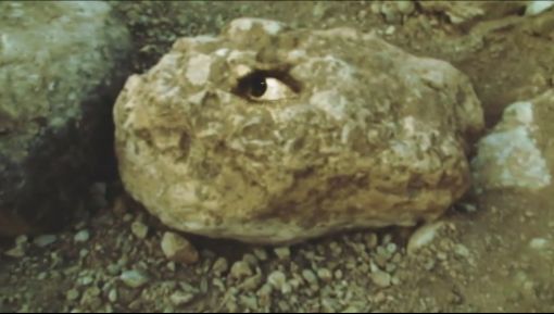 Hamed Sahihi, Stone, 2009. Video still. — © Courtesy of the artist.