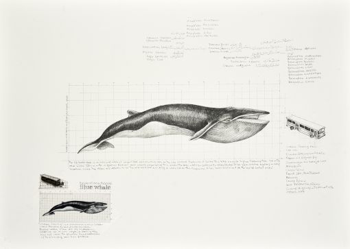 Jinoos Taghizadeh_52HertzWhale_2015_4 — © Courtesy of the artist