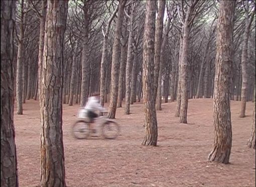 Tessa Knapp, TRACE: Scenes of the Woods, 2007. Video still. — © Courtesy of the artist.